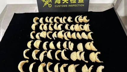 太恶心!女子被查,在打底裤内搜到了用塑料袋包裹的大量食品……