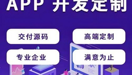 上海APP软件开发公司综合能力分析