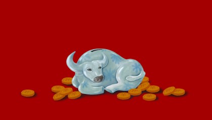 牛市怎么过春节？