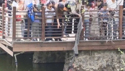 西安一公园小男孩落水，女子下水施救紧紧抱住孩子，游客用衣服将两人拉到岸边，园方回应