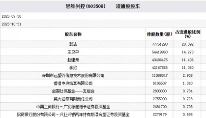思维列控董事被留置股价提前跌 广发基金英大证券持股