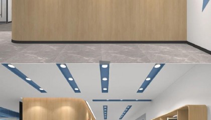 设立证券公司(设立证券公司要经过谁审查批准)