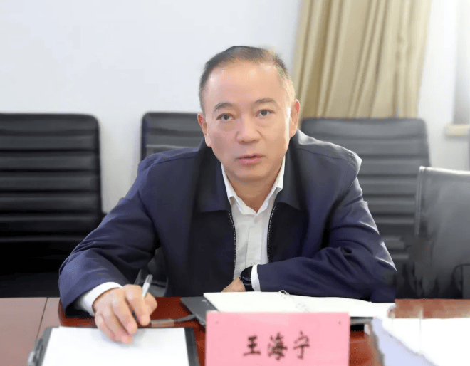 王海宁,被查