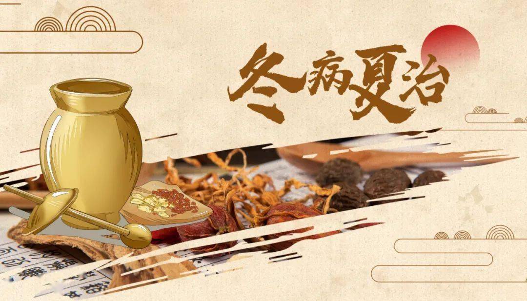 林琳诊室 | 三伏天=慢阻肺“黄金调养期”!推荐3款膳食,温养正气