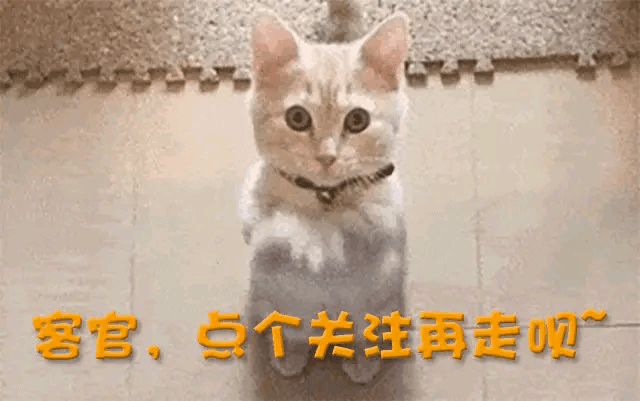 演德华的刘琳,她一直演黄金配角一直没得奖,是观众心里的好演员