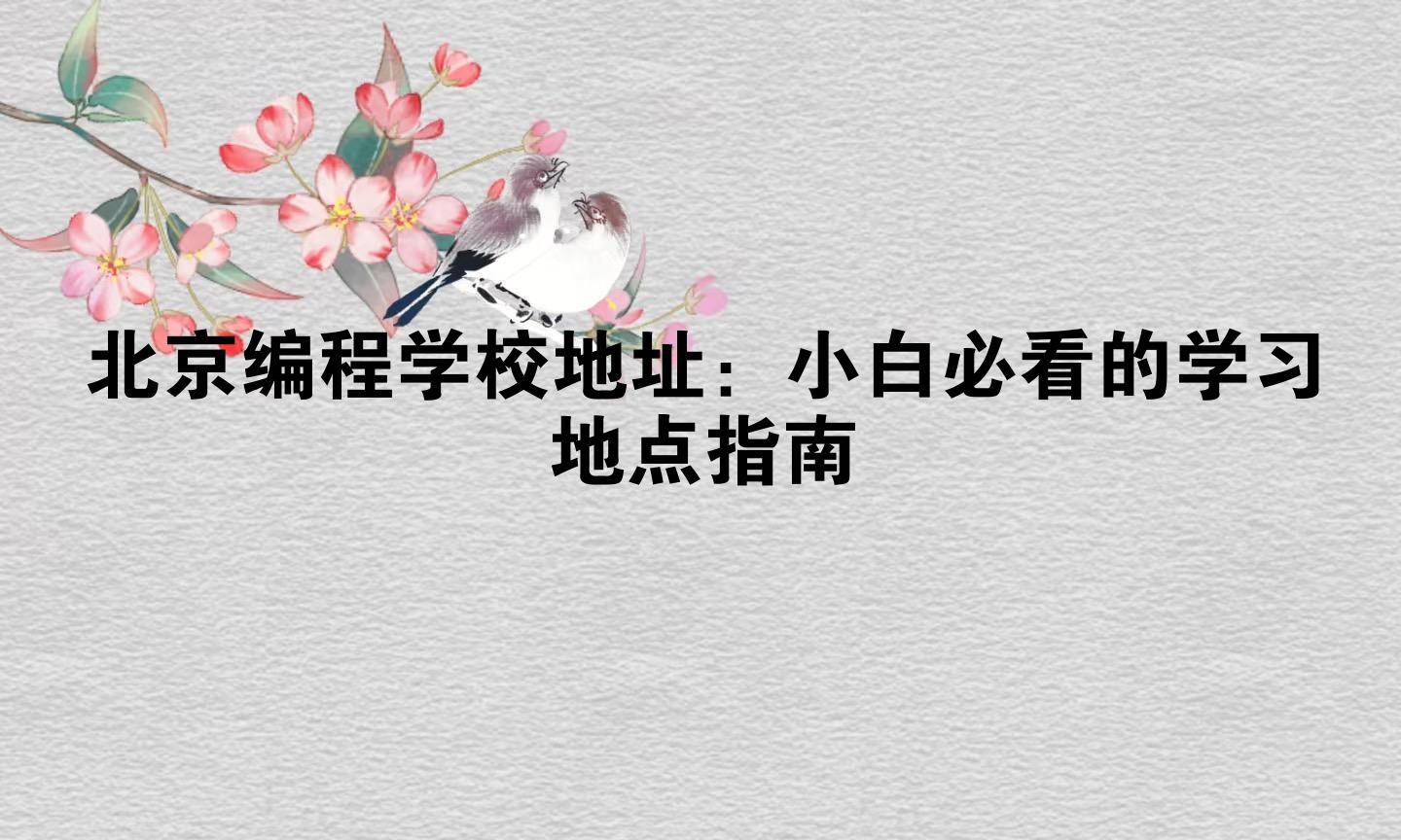 北京编程学校地址:小白必看的学习地点指南