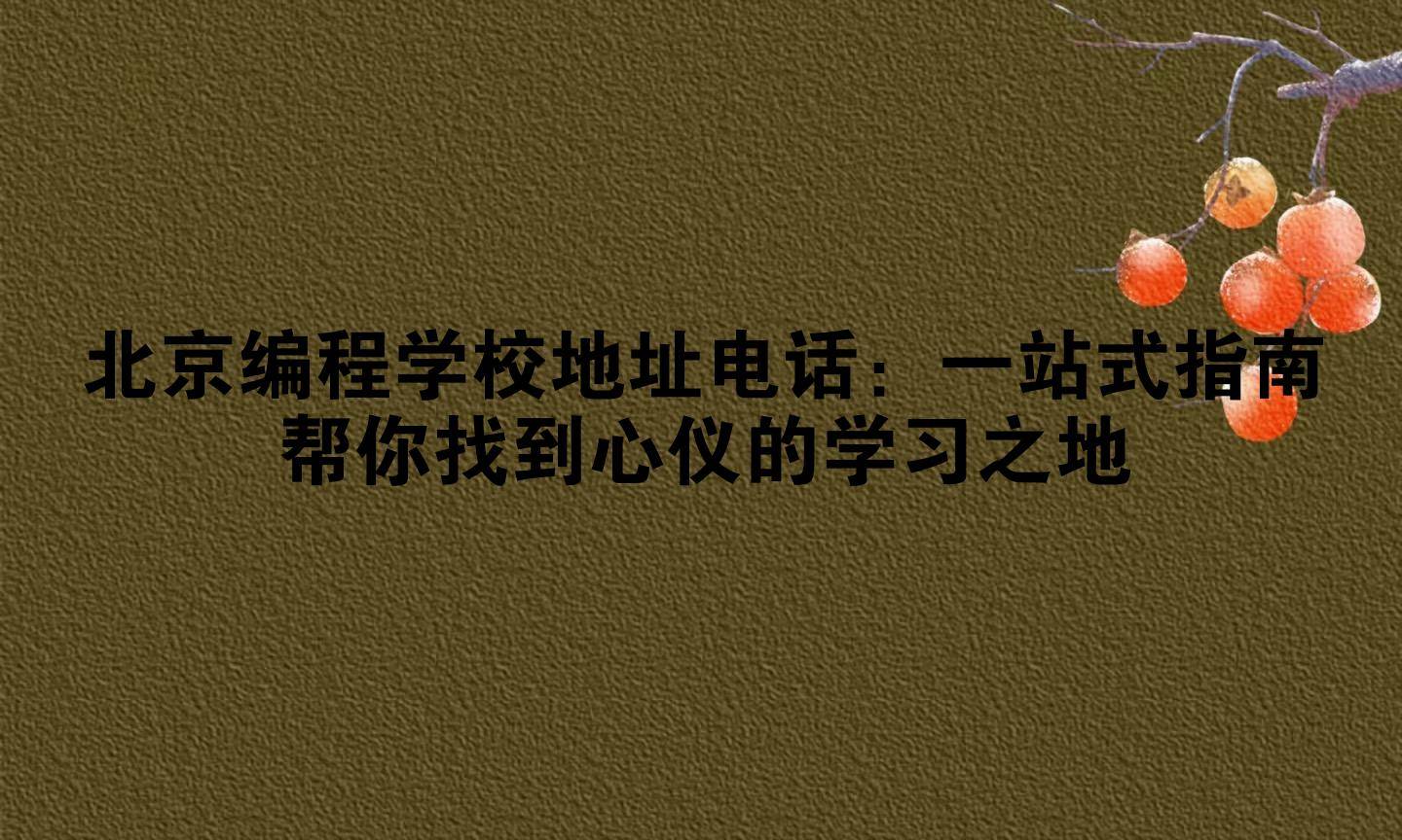 北京编程学校地址电话:一站式指南帮你找到心仪的学习之地