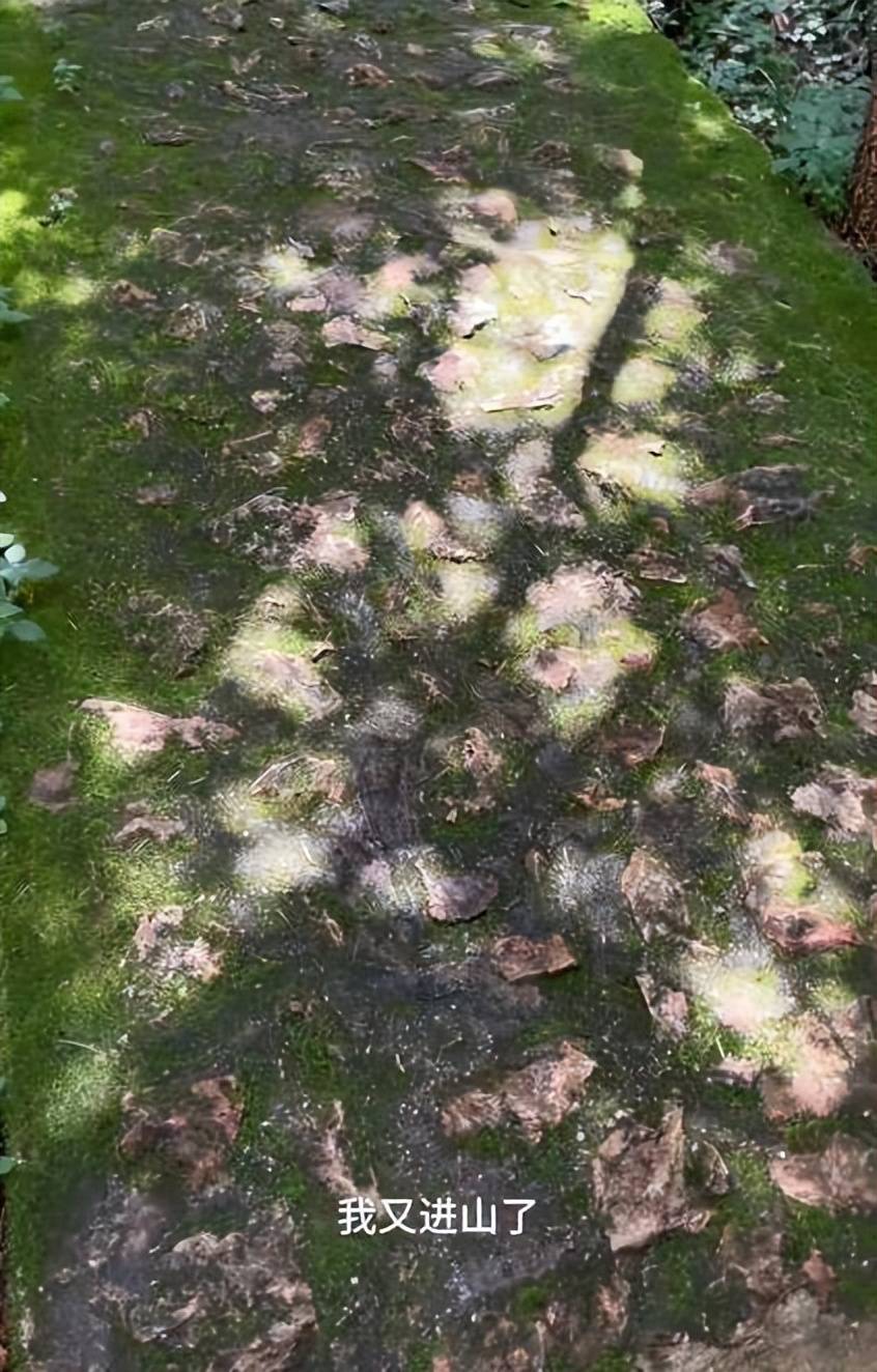 刘孜陪儿子闯青春期!遭 “摆烂” 气到进山,最终结局让人期待!