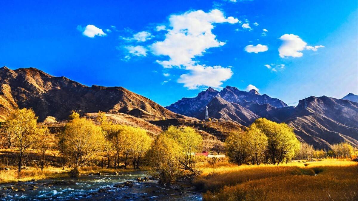 成也赵盾败也赵盾：赵氏孤儿故事的来龙去脉