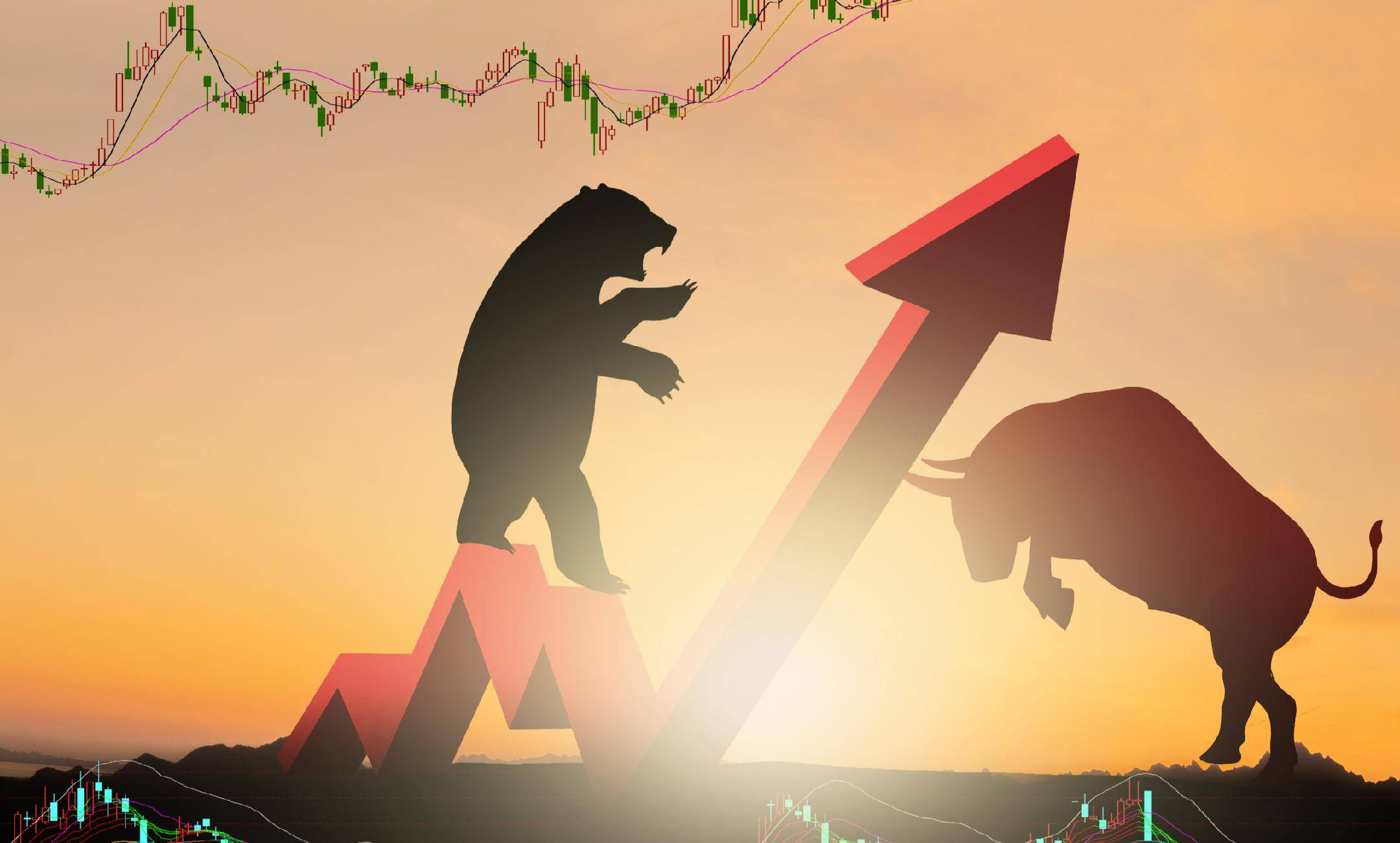 国信证券首席经济学家荀玉根：牛市远未结束